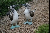 Image No.3, Picture_019.jpg
